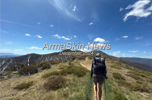 ArmaSkin News  December 2024